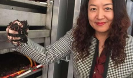 91年单亲萍萍直播间,直播间里的坚强与成长